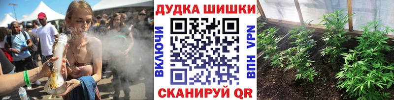 даркнет наркотические препараты  Реутов  OMG ССЫЛКА  Конопля SATIVA & INDICA  цены наркотик 